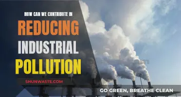 Industrial Pollution: Ways to Reduce Our Carbon Footprint