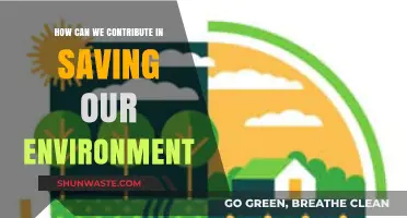 Sustainable Actions: Simple Ways to Protect and Preserve Our Environment