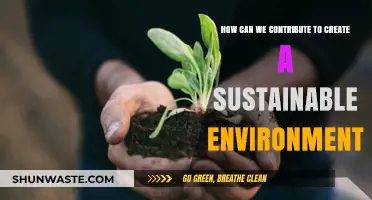 Sustainable Living: Simple Steps to Protect Our Planet for Future Generations