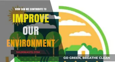 Sustainable Steps: How We Can Act to Improve Our Environment
