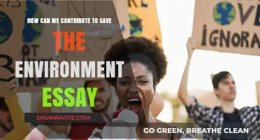 Sustainable Actions: How We Can Contribute to Save the Environment