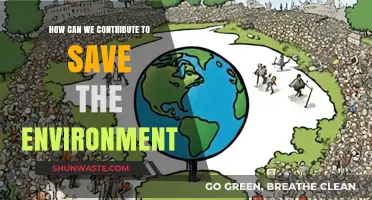 Sustainable Steps: How We Can Act to Protect Our Planet