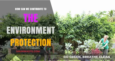 Sustainable Steps: How We Can Actively Protect Our Environment