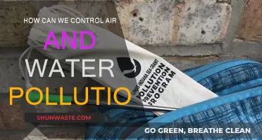 Controlling Air and Water Pollution: Strategies for Sustainability