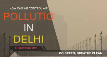 Delhi's Air Pollution: Strategies for Control and Improvement