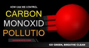 Controlling Carbon Monoxide Pollution: Strategies for a Safer Environment