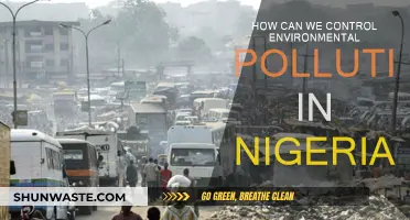 Controlling Environmental Pollution in Nigeria: Strategies and Solutions