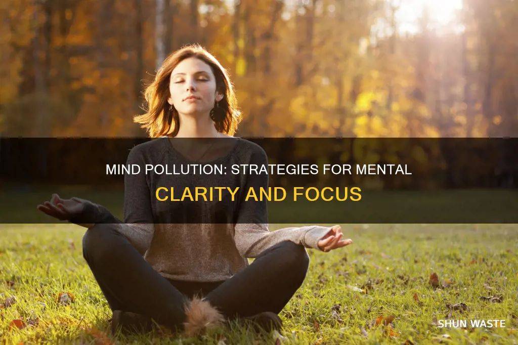 how can we control mind pollution