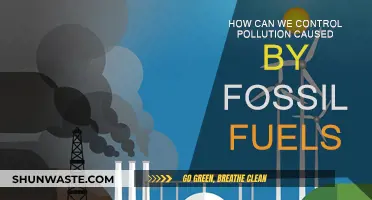 Controlling Fossil Fuel Pollution: Strategies for a Greener Future