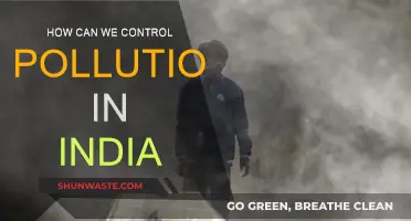 Controlling Pollution in India: Strategies for a Sustainable Future