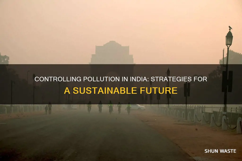 how can we control pollution in india