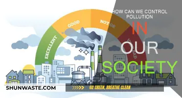 Controlling Pollution: Society's Role in Reducing Environmental Harm