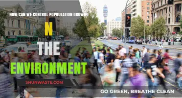 Sustainable Strategies to Manage Population Growth and Protect Our Environment