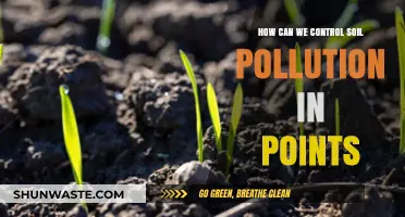 Soil Savvy: 5 Key Steps to Control Pollution