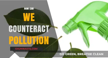 Unleash Nature's Power: Counteracting Pollution with Green Solutions