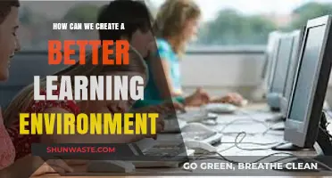 Fostering Growth: Strategies to Create an Optimal Learning Environment