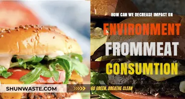 Reducing Meat Consumption: Sustainable Steps to Lower Environmental Impact