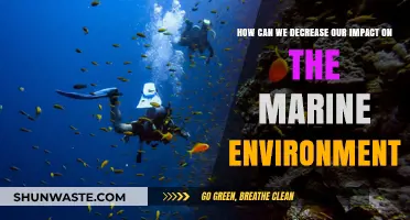 Sustainable Practices to Protect Our Oceans and Marine Life