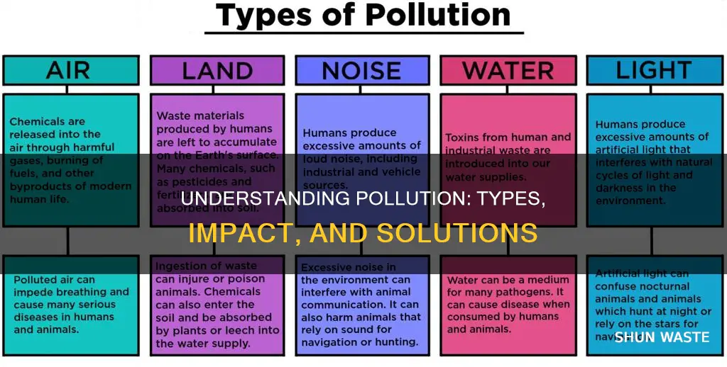 how can we define pollution and differentiate between its types