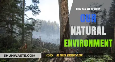 Devastating Practices: How Human Actions Destroy Our Natural Environment