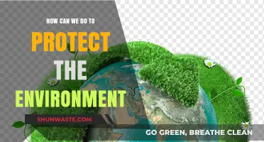 Sustainable Steps: Practical Ways to Safeguard Our Planet's Future