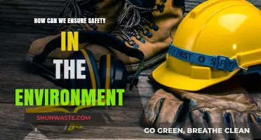Securing Our Planet: Practical Steps for a Safer Environment