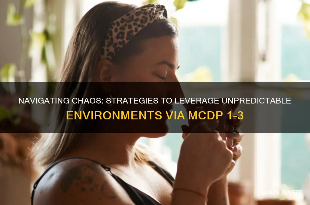 how can we exploit a chaotic environment mcdp 1-3