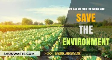 Sustainable Agriculture: Feeding the World While Preserving Our Planet