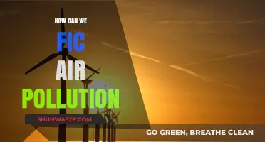 Breathing Clean: Strategies to Fight Air Pollution