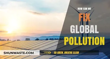 Global Pollution Solutions: A Collective Effort for a Healthier Planet