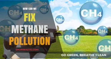 Mitigating Methane: Strategies to Reduce Pollution and Protect Our Planet