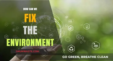 Sustainable Solutions: Practical Steps to Restore and Protect Our Environment