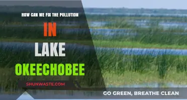 Reviving Lake Okeechobee: Strategies to Combat Pollution and Restore Balance