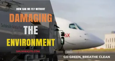 Sustainable Skies: Eco-Friendly Aviation Solutions for a Greener Future