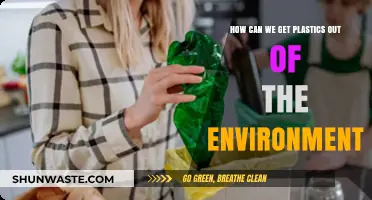 Innovative Solutions to Remove Plastics and Protect Our Environment