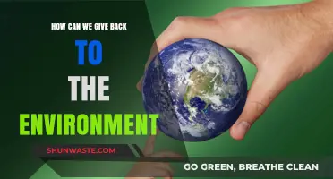 Sustainable Living: Simple Ways to Give Back to Our Planet