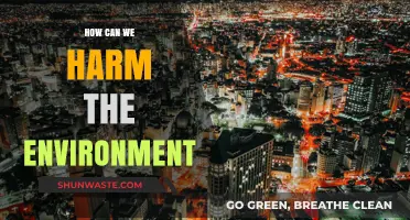 Ways Human Activities Negatively Impact and Harm Our Environment