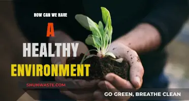 Sustainable Living: Simple Steps for a Healthier Environment Today