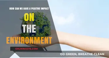 Sustainable Steps: Empowering Positive Environmental Impact Daily