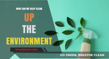 Sustainable Steps: Practical Ways to Clean Up Our Environment