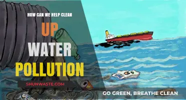 Clean Water Solutions: Strategies to Combat Pollution