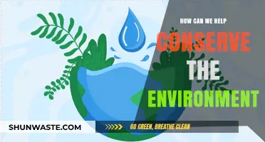 Sustainable Steps: Practical Ways to Protect and Preserve Our Planet