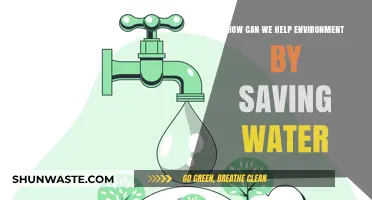Conserve Water, Protect Our Planet: Simple Steps for a Greener Future