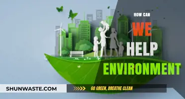 Sustainable Actions: Practical Ways to Protect and Restore Our Environment