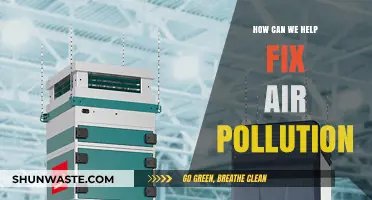 Breathing Clean: Practical Steps to Combat Air Pollution