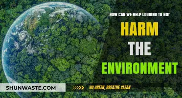 Sustainable Logging Practices: Protecting Forests and Preserving Our Planet's Future