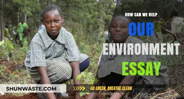 Sustainable Steps: Practical Ways to Protect and Preserve Our Environment