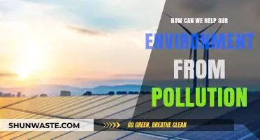 Green Earth: Simple Steps to Fight Pollution