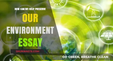 Sustainable Actions: Practical Ways to Preserve Our Environment Effectively