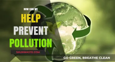 Empowering Change: Simple Steps to Reduce Pollution